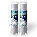 2 pcs Big Blue CTO Carbon Block Water Filters 4.5