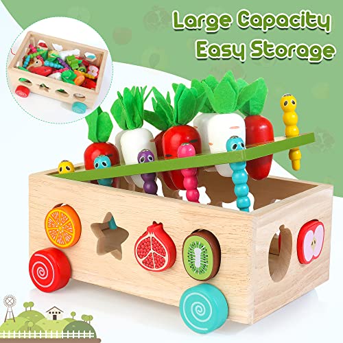 Winique Wooden Montessori Toys for 1 2 Year Old, Educational Learning