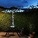 Lychee Solar powered string light 55ft 17m 100 LED Solar Fairy light string for Garden,Outdoor,Home,Christmas Party (17m 100Leds, White)