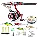 Rod and Reel Combo Carbon Fiber Telescopic Fishing Poles and Spinning Reels Saltwater for Bass Trout