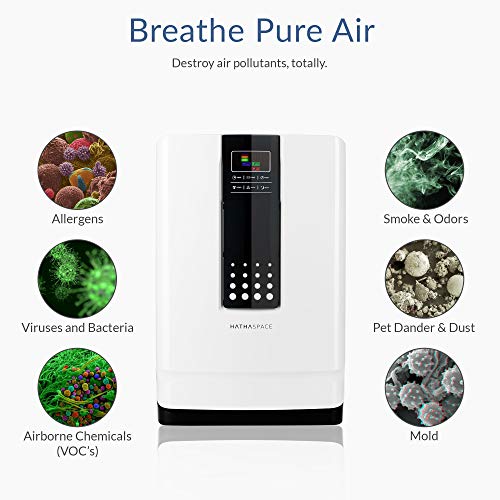 1 Hathaspace+Purifier+Cleaner+Deodorizer+Allergies
