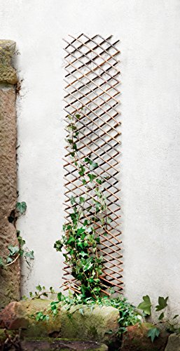 FRANK FLECHTWAREN Rankhilfe, variabel – Bild 6