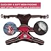 PoyPet No Pull Dog Harness, Reflective Comfortable Vest Harness with Front & Back 2 Leash Attachments and Easy Control Handle Adjustable Soft Padded Pet Vest for Small to Large Dogs (Red,L)
