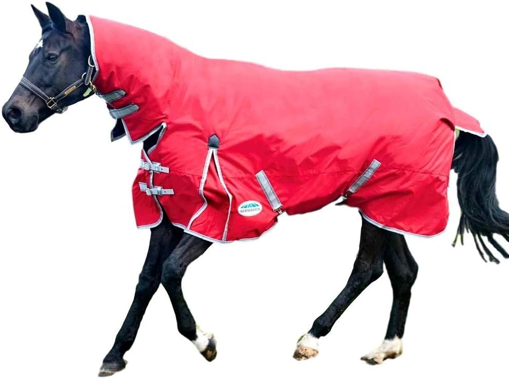Weatherbeeta Comfitec Classic Combo Neck Medium