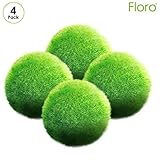 Floro 4 Large Marimo Moss Balls - All Natural 1