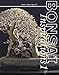 Harry Harrington's Bonsai Inspirations 1 (Spanish Edition) by 