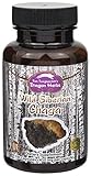 Dragon Herbs Wild Siberian Chaga -- 450 mg - 100 Capsules