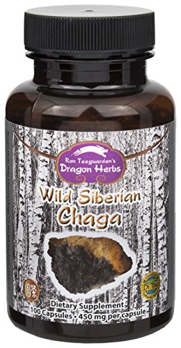 Dragon Herbs Wild Siberian Chaga -- 450 mg - 100 Capsules