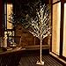 EAMBRITE Warm White LED Tree Light Winter Wedding Home Decorative Tree Light for Indoor and Outdoor Use (5FT Birch Tree Lights)