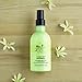 The Body Shop Moringa Softening Body Milk – Lightweight Body Moisturizer – For Dry Skin – Vegan – 8.4 oz