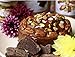 Wilderness Poets Organic Cacao Paste - Made from Stone Ground, Raw 100% Cacao Beans (8 Ounce - 227g)