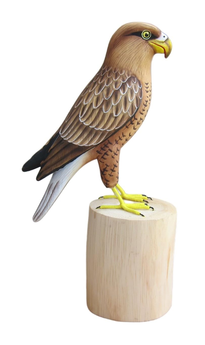 Brave Wings Hand Carved Wooden Garden Bird ~ White Tailed Eagle Friend of Robin Red Breast ~ Wood Ornament Sculpture Figurine Statue Unique Table Decoration Home Decor Gift for Christmas ~ 2640