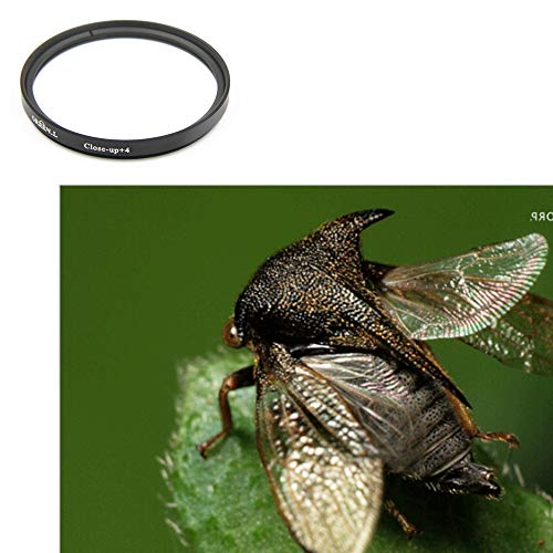 GREEN.L 77mm Macro Close-up Filters(+4)+ND Neutral Density Filters(ND8)+Rotating 6 Points Star Filter +Graduated Grey Filter (ND) Filter Kit for 77mm Digital Camera with Filter Pouch - Thumbnail 3