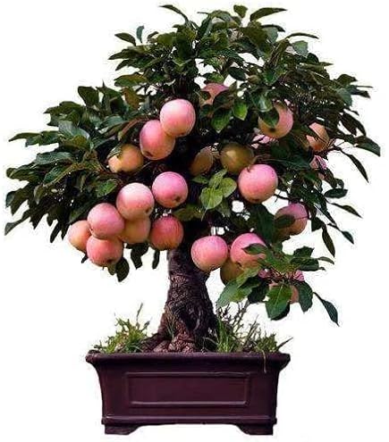 indoor house plant lights GLOWRIUM20W Grow Light Full Spectrum LED Floor Plant Light for Indoor   Glowrium