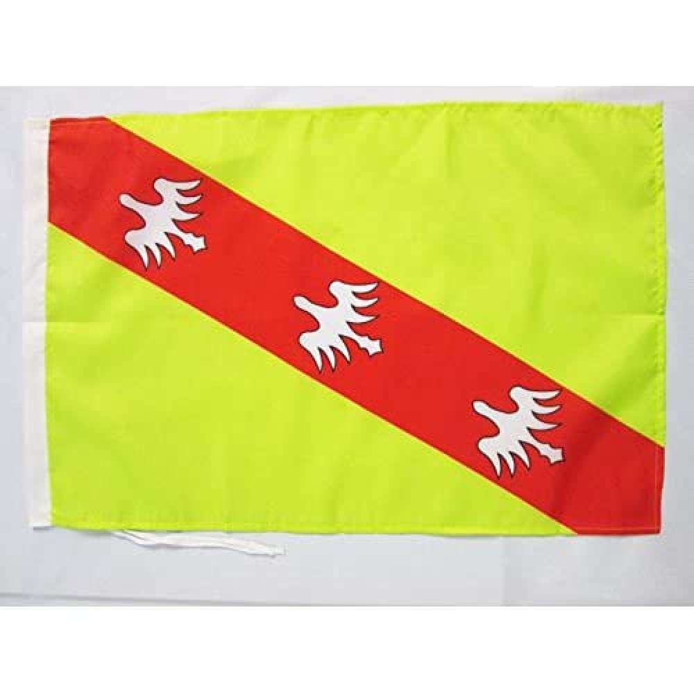 AZ FLAG - Lorraine Flag - 18'' x 12'' - 100% Polyester French region of Lorraine Small Banner with Two Cords - Fade Resistant - Vivid Colors - 18x12 in - 45x30 Cm