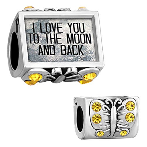 Q&Locket Butterfly I Love You to The Moon &Back Charm Photo Beads for Bracelet