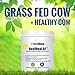 Doctor Formulated Grass Fed Whey Protein Powder – Premium Paleo Protein Powder & Meal Supplement- Includes Prebiotic Fiber, Enzyme Blend, B-Vitamins & Creatine - Vanilla