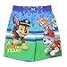 Nickelodeon Paw Patrol Toddler Boys Swim Trunks