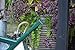 Haws Plastic Outdoor Watering Can, 1.6-Gallon/6-Liter, Green