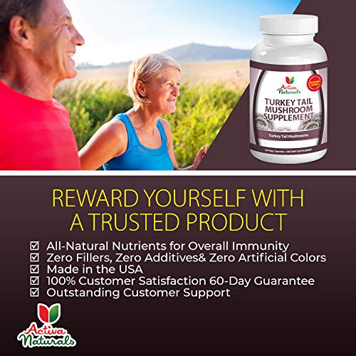 Turkey Tail Mushroom Supplement 120 Veg. Capsules with Coriolus