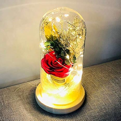 Amazon Patyholl 19 美女と野獣 永遠の花 Ledガラスドーム付きバラ 結婚式の装飾用 バレンタインデーギフト 造花 オンライン通販