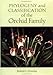 Phylogeny and Classification of the Orchid Family by Robert L. Dressler (1993-04-01) by Robert L. Dressler