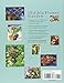 The Edible Flower Garden: From Garden to Kitchen: Choosing, Growing and Cooking Edible Flowers