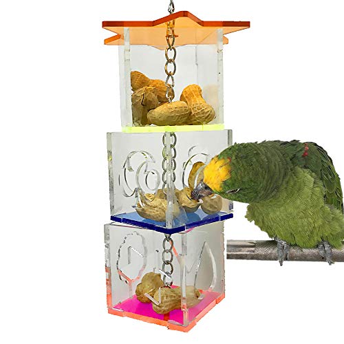 RICEFINE Bird Foraging Feeder Box