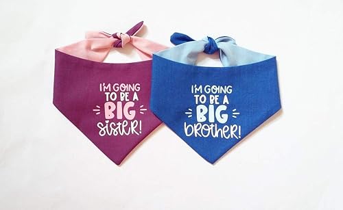 big brother baby shower gifts