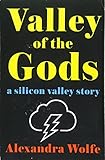 Valley of the Gods: A Silicon Valley Story cover