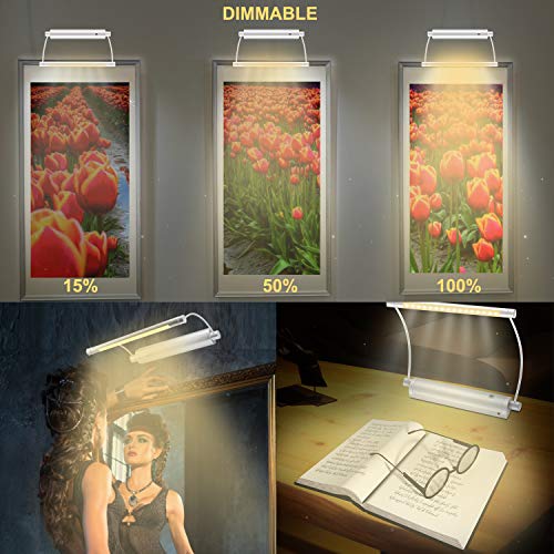 HONWELL Picture Light Wireless Display Lights Battery Powered LED Accent Light Remote Control Artwork Lighting Rotatable Light Heads with Timer Dimmer, Art Lights for Painting Frame Wall Mirror-Silver