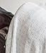 Amazing Baby Muslin Swaddle Blankets, Set of 4, Premium Cotton, Paradise, Pastel SeaCrystal