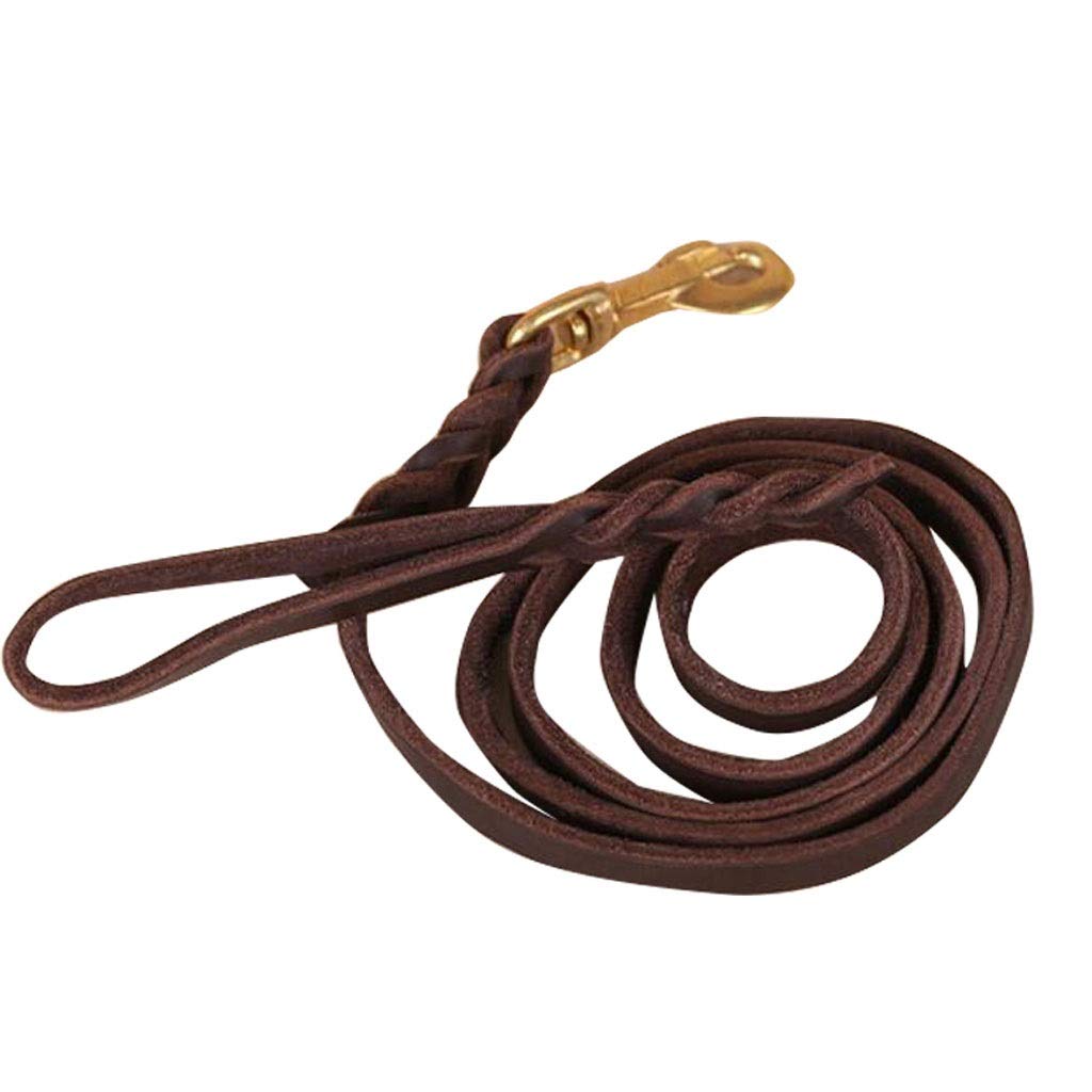 YXN Pet Leash Fur Dog Chain for All Kinds of Pets 1.5 Meters, 2 Meters, 2.5 Meters, 3 Meters