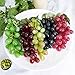 Supla 5 Pack Assorted Artificial Grapes Frosted Grape Clusters Rubber Grape Bundles Decorative Grapes Bunches in Black Purple Red Green for Vintage Wedding Favor Fruit Wine Décor Faux Fruit Props