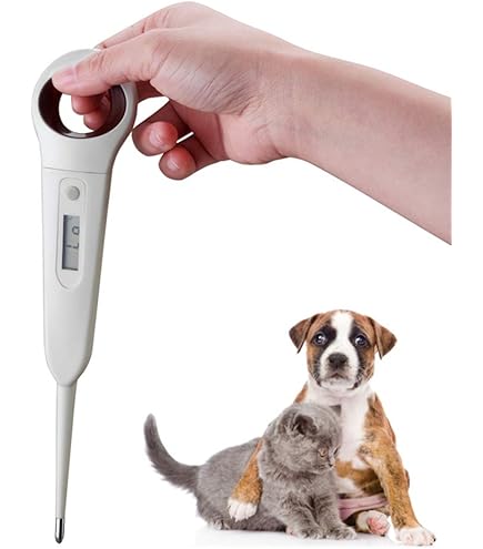 Termometro Veterinario ADC Adtemp 422 - Doppia Scala Per Animali, Misura In 10 Secondi