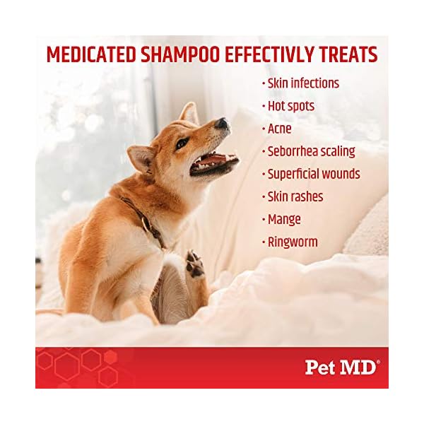 petmd shampoo