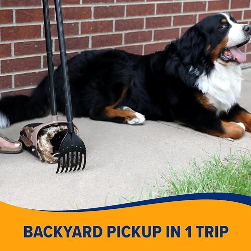 Arm & Hammer Pooper Scooper Swivel Bin & Rake Dog Poop Scooper with Petmate Heavy Duty Poop Bags