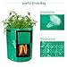 Todoing Garden Potato Grow Bag, 4Pack10Gallon Grow Bags with Access Flap and Handles for Harvesting Potato, Carrot, Onion, tomata,Vegetable and Flower.thumb 2