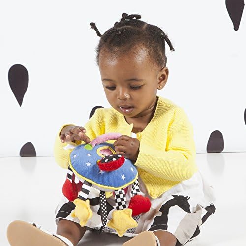 wise baby toy website