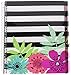 Studio C Sugarland Five Subject Writing Notebook, 3 Pack (37067)