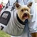 Petego Universal Sport Bag Pet Travel Carrier