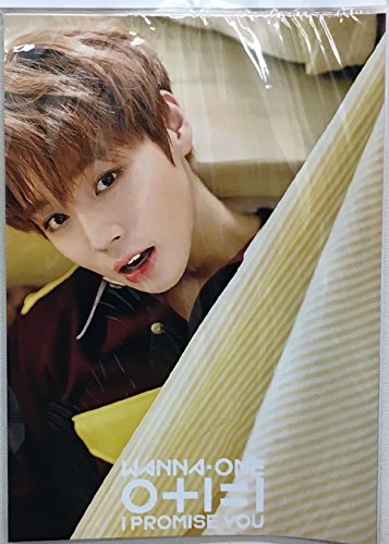 WannaOneタペストリーパクジフン