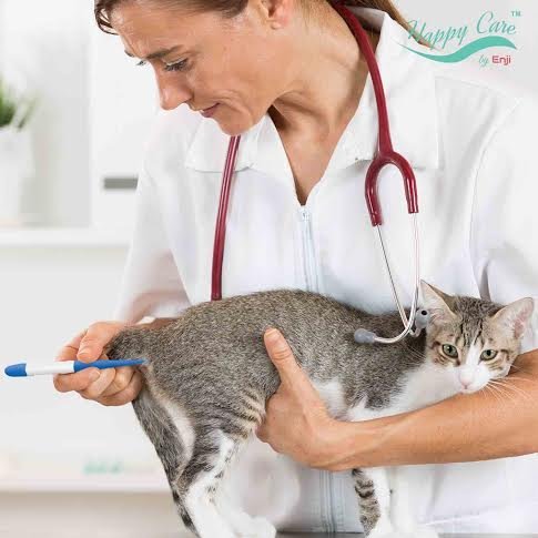 5 Thermometer+Underarm+Temperature+Professional+Detecting