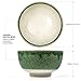 Tealyra - Matcha Bowl - Authentic Ceramic Made in Japan - Chawan from Japanese Master-Craft - Matcha Tea Cup Ceremony Use - Green