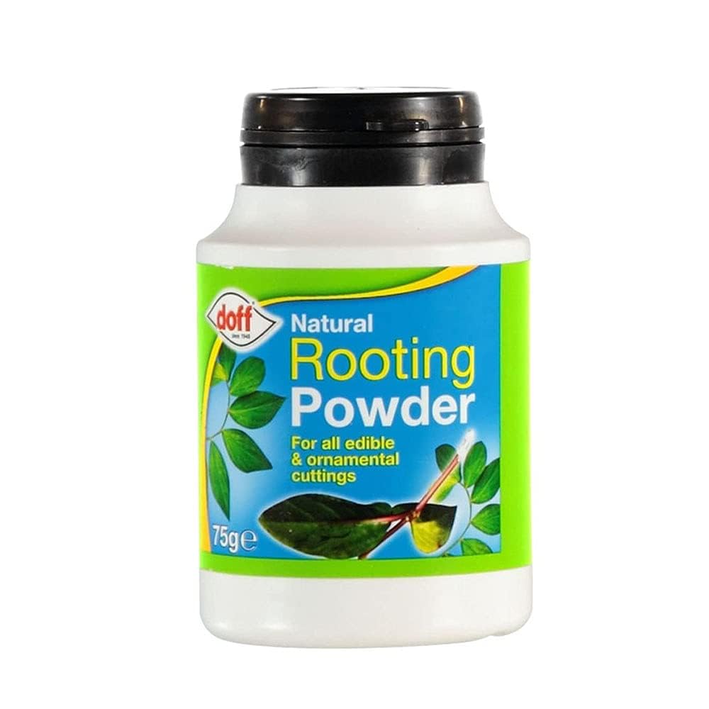 Natural Rooting Hormone Powder for Cutting Strong Roots All Kinds of Plants - Help to Grow Edible Gardening for Outdoor and Indoor Use to Prepare Organic Nutrients 75g (Pack of 1)