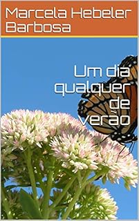 Livro Um dia qualquer de verão
