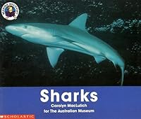 Sharks (Reading Discovery) 0590390651 Book Cover