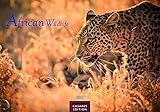African Wildlife 2017 by 