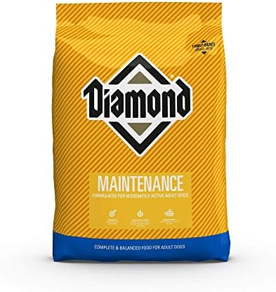 cockapoo cross yorkshire terrier