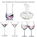 Hand Painted Stemless Wine Glasses by Sonoma Artisan, Set of 2. Ideal for Casual Entertaining, Unique Gift Idea, Romantic Night in, or Just Elevating Your Wine Enjoyment